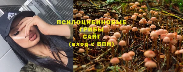 хмурый Балахна